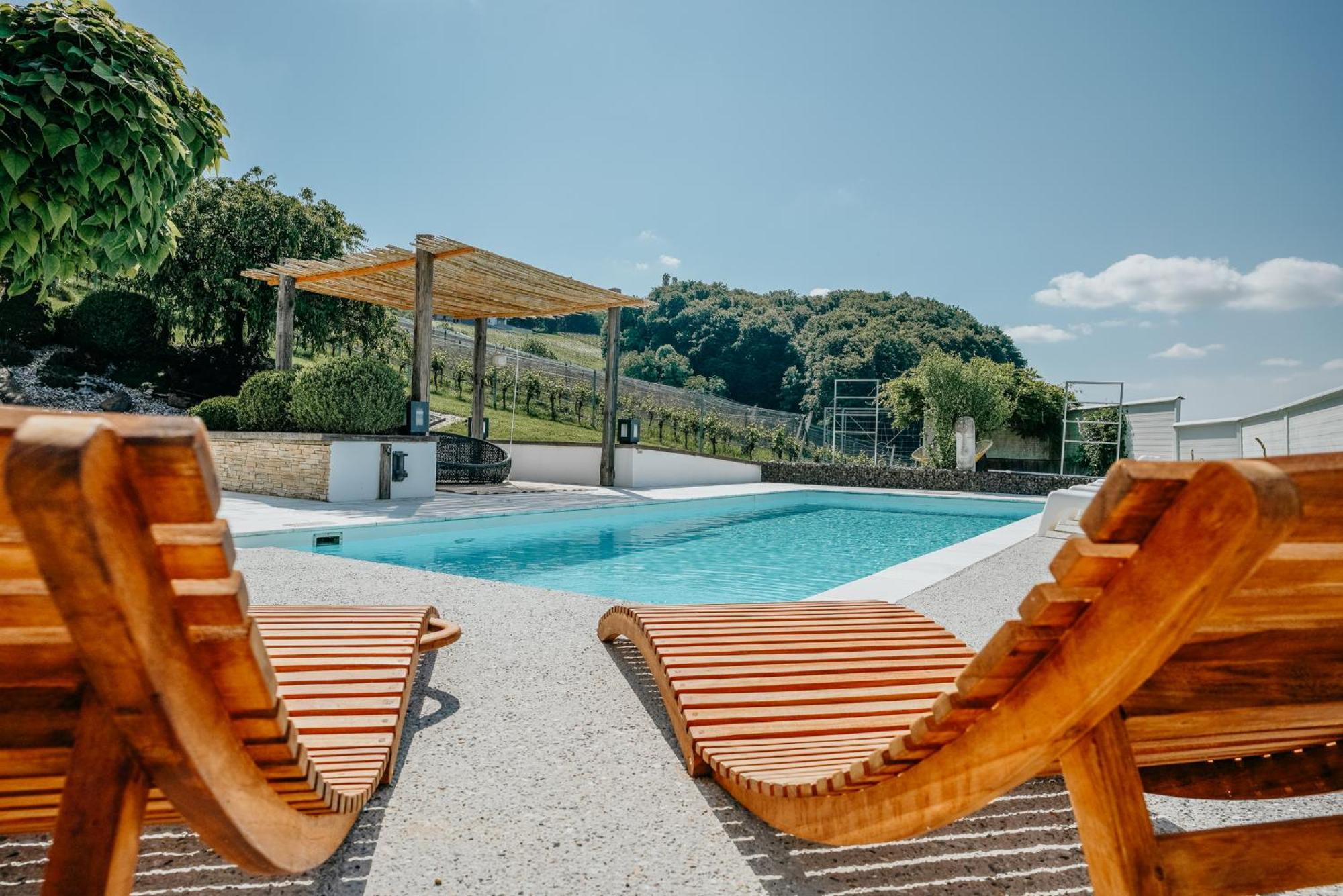 Weingut Holler Chalet Weingarten Spielfeld Exteriör bild